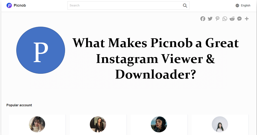 Picnob Instagram Viewer & Downloader?